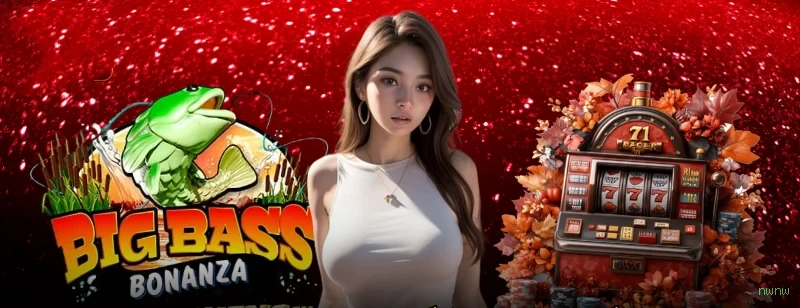 Programa VIP nwnw